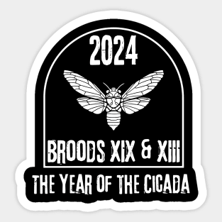 Cicada 2024 Brood XIX, Brood XIII Sticker